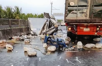 Dừng xe giữa cao tốc, cái giá phải trả là sinh mạng