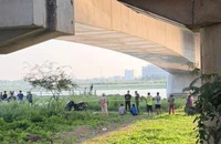 Nghi bị lừa 180 triệu đồng, cô gái nhảy xuống sông Vàm Cỏ Tây mất tích