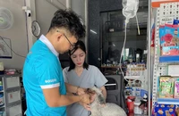 Tây Ninh có chỉ đạo sau 4 ca tử vong vì bệnh dại