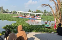 Hai trẻ nhỏ mất tích nghi đuối nước tại bến phà trên sông Vàm Cỏ Tây