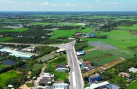 Tuyến đường Tân An - Bình Hiệp phá thế độc đạo Quốc lộ 62, khai mở dư địa phát triển Đồng Tháp Mười