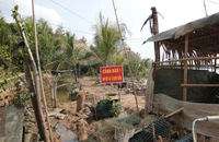Tây Ninh: Sạt lở ven sông Vàm Cỏ Tây, người dân sống trong bất an