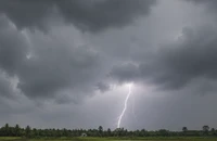Người đàn ông tử vong nghi do sét đánh khi đi thăm ruộng ở Tây Ninh