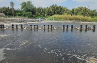 Người đàn ông tử vong bên đầm tôm, nghi bị điện giật từ mô tơ máy quạt