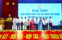Tây Ninh đặt kỳ vọng kinh tế tập thể trở thành động lực tăng trưởng mới