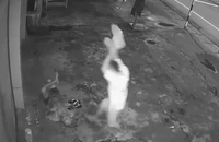 Camera ghi lại cảnh cụ ông bán vé số bị đánh đập, lục túi lấy tài sản
