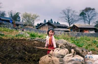 Du lịch Mộc Châu, Sơn La: Đi đâu để ngắm cảnh đẹp như tranh?