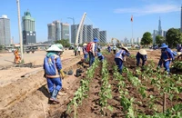 TP Thủ Đức tổ chức nhiều hoạt động chào đón năm mới 2024 