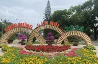Nhiều công viên ở TP.HCM đã 'thay áo mới' bắt mắt