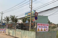 TP.HCM đảm bảo mỹ quan đô thị, an toàn giao thông dịp Tết Giáp thìn 2024