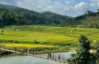 Khám phá Măng Đen - Lá phổi xanh của núi rừng Tây Nguyên