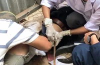 Người đàn ông bị thanh sắt rơi từ trên cao đâm xuyên bụng