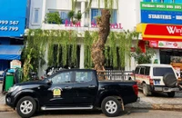 Đà Nẵng: Cô giáo mầm non lên mạng xin lỗi vì bỏ đói, bạo hành trẻ