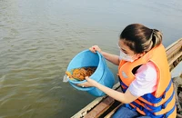 Phóng sinh sao cho đúng cách?