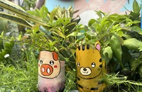 Biến bãi rác thành mảng xanh từ vật liệu tái chế 