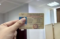 Tôi cho người khác mượn giấy phép lái xe, vậy có bị thu hồi?
