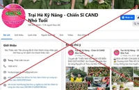 Giả mạo công an, quân đội, hàng không tổ chức trại hè để lừa đảo
