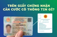 Tại sao phải cấp Giấy chứng nhận căn cước cho người gốc Việt Nam chưa xác định được quốc tịch?