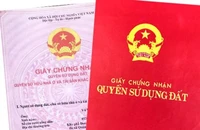 Trẻ em có được đứng tên trên sổ hồng?