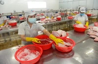 Doanh nghiệp phá sản, ưu tiên thanh toán khoản nợ lương hay bảo hiểm trước cho người lao động?