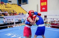 Cơ chế bảo hộ công dân Việt Nam nhìn từ vụ ông Lưu Tú Bảo