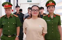 Vì sao Hoàng Hường bị khởi tố tội vi phạm quy định kế toán mà không phải tội trốn thuế?