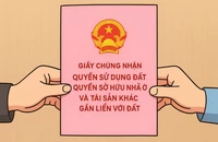 Đang bị tạm giam có được ký sang tên sổ hồng?