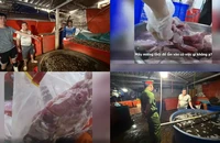 Thực phẩm bẩn len lỏi vào trường học: Phải siết chặt quản lý từ gốc đến ngọn