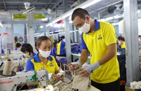 Đi làm ngày Tết 2026: Khi nào là nghĩa vụ, khi nào là quyền thỏa thuận?