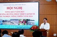 Trồng dưa lưới, nho công nghệ cao ở Ninh Thuận đạt 1,2 tỉ đồng/ha/năm