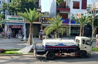 Ninh Thuận rà soát các dự án trồng, chăm sóc cây xanh