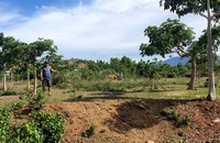 Xã lúng túng thi hành án hành chính, dân bị thiệt thòi