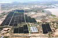 Một số tổ chức, cá nhân ở Ninh Thuận bị kỷ luật liên quan các dự án điện gió, mặt trời