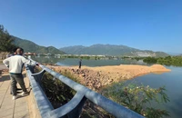 Lý do dừng thi công cầu công vụ trên sông Quán Trường