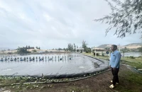 Vụ HĐXX án hình sự tuyên hủy giấy chứng nhận: TAND tỉnh Khánh Hòa tuyên sửa án