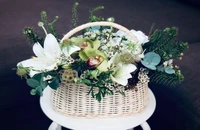 Nhiều bệnh viện không tiếp khách, nhận hoa quà ngày Thầy thuốc Việt Nam