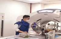 Bé trai 5 tuổi bị ong vò vẽ đốt 15 mũi nguy kịch, suy đa tạng 