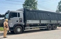 Xử phạt tài xế và chủ xe gần 200 triệu đồng vì chở quá tải