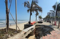 Tìm giải pháp bảo vệ bờ biển Đà Nẵng