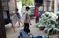 Doanh nghiệp Hải Dương kêu cứu vì nhiều tỉnh… cấm xe