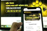 Mua chung bất động sản 'blockchain' với vài triệu đồng 