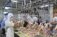Cơm gà Singapore khủng hoảng, khách ngoại muốn mua gà Việt 