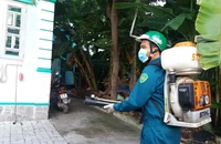 Nguy cơ bùng dịch sốt xuất huyết, thiếu thuốc điều trị 