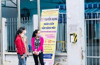 Khát lao động, tìm đỏ mắt vẫn không đủ 
