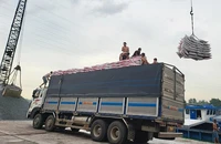 Cục CSGT lập tổ công tác xác minh xe quá tải, cơi nới 