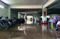 Dân khổ vì hầm chung cư, thang máy ngập nước 