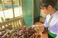 Nhộn nhịp đặc sản, trái cây độc lạ tết 