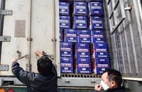 Hàng Việt tăng tốc xuất khẩu khi Trung Quốc mở cửa 