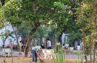 Người dân góp sức biến bãi rác thành công viên 