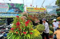Hoa mới, hoa lạ thống lĩnh thị trường tết 